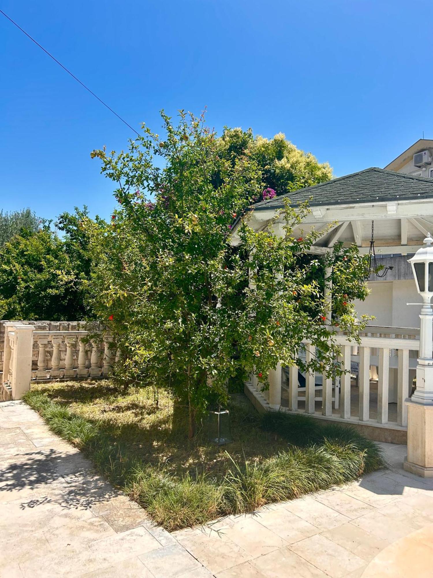 Guest House Vila Eli Херцег Нови Екстериор снимка